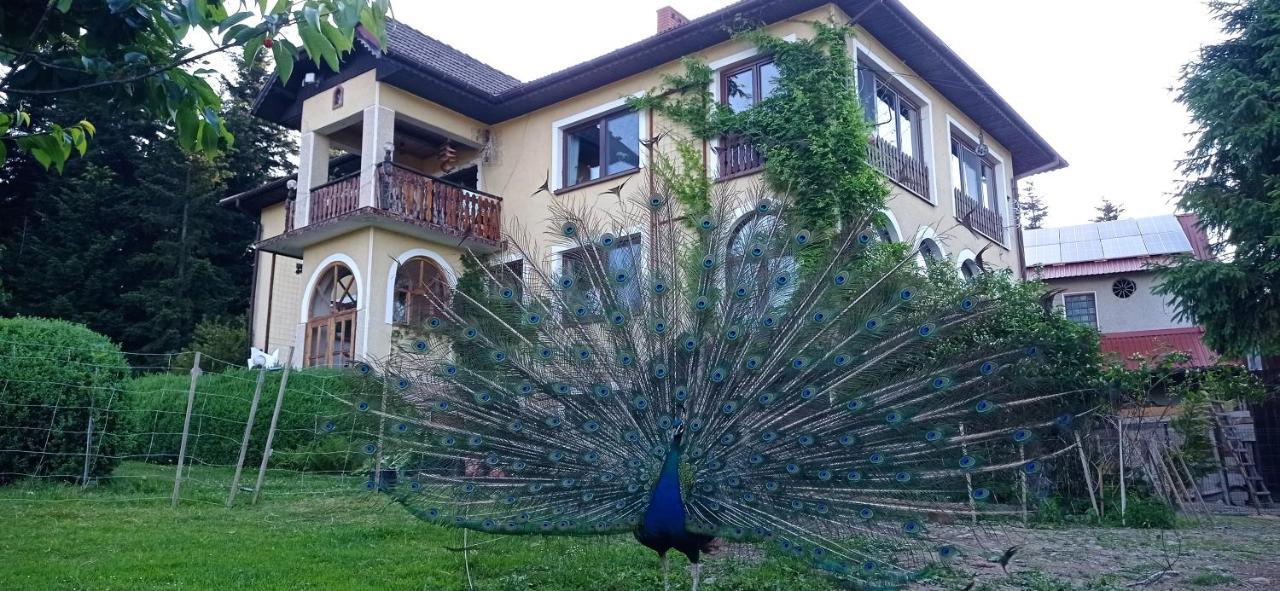 Zalasek Gospodarstwo Agroturystyczne Z Alpakami Apartment Dobra  Luaran gambar