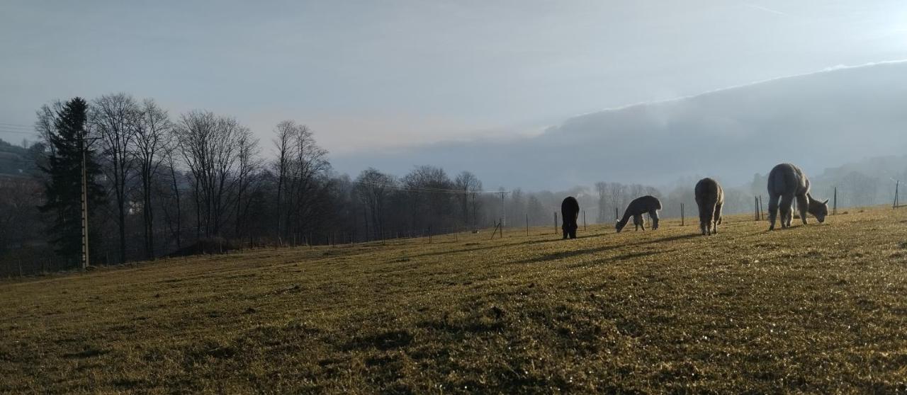 Zalasek Gospodarstwo Agroturystyczne Z Alpakami Apartment Dobra  Luaran gambar